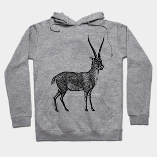 Antelope. Hoodie